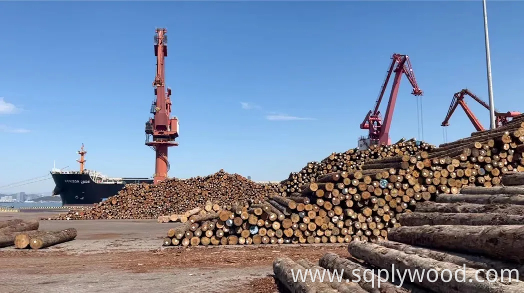 Fabricado En China 18mm Laminated/Melamine Plywood with Wood Grain for Cabinet